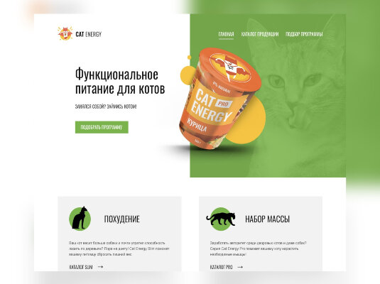 Project